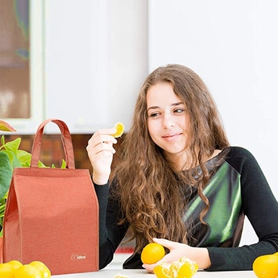 Canvas Soft Sided Collapsible Cooler Waterproof Insulated Adult Lunch Tote Bag